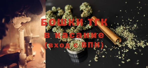 дурь Гусев