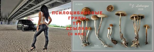 крисы Пролетарск